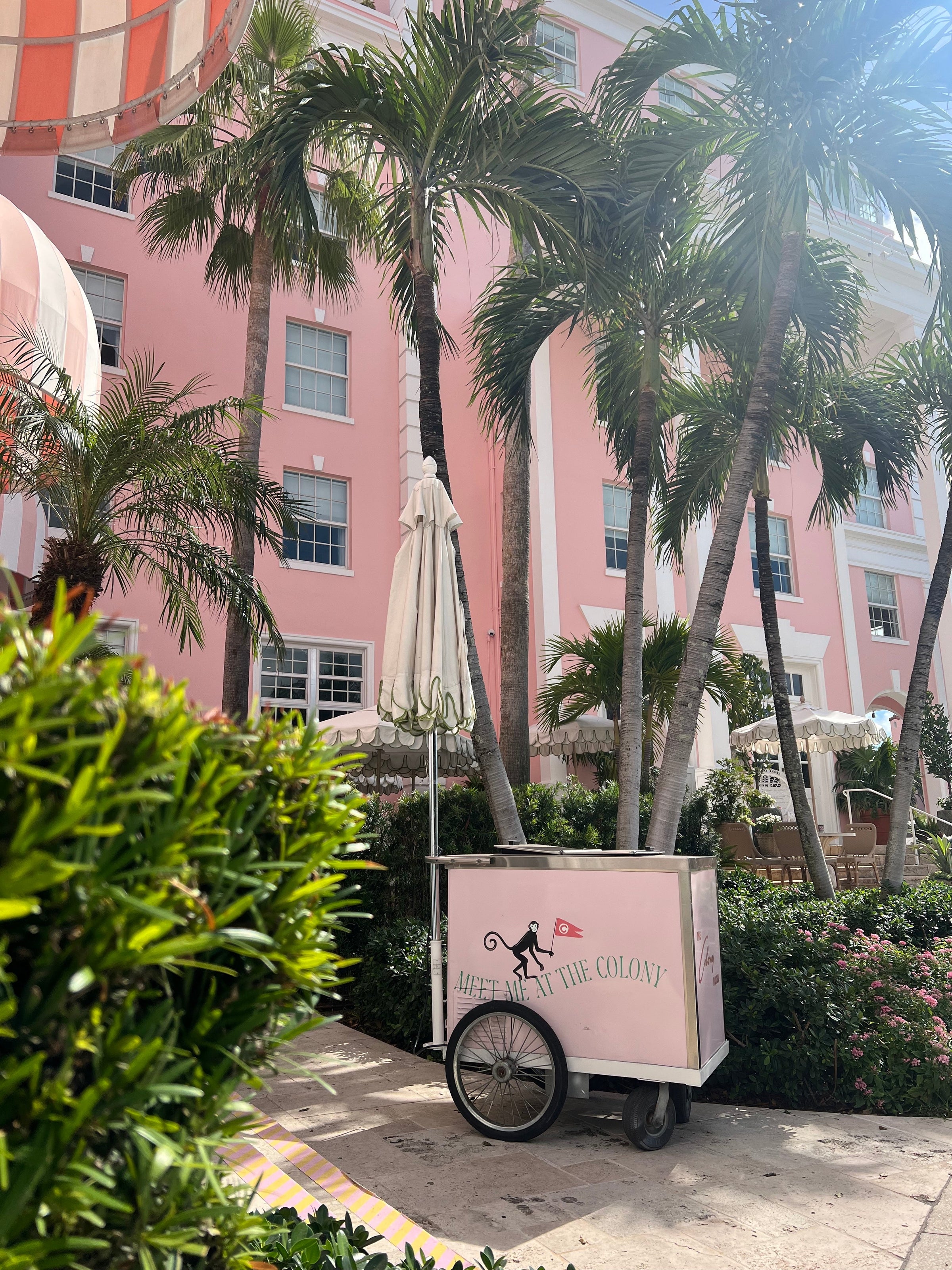 New Collection - Coralina