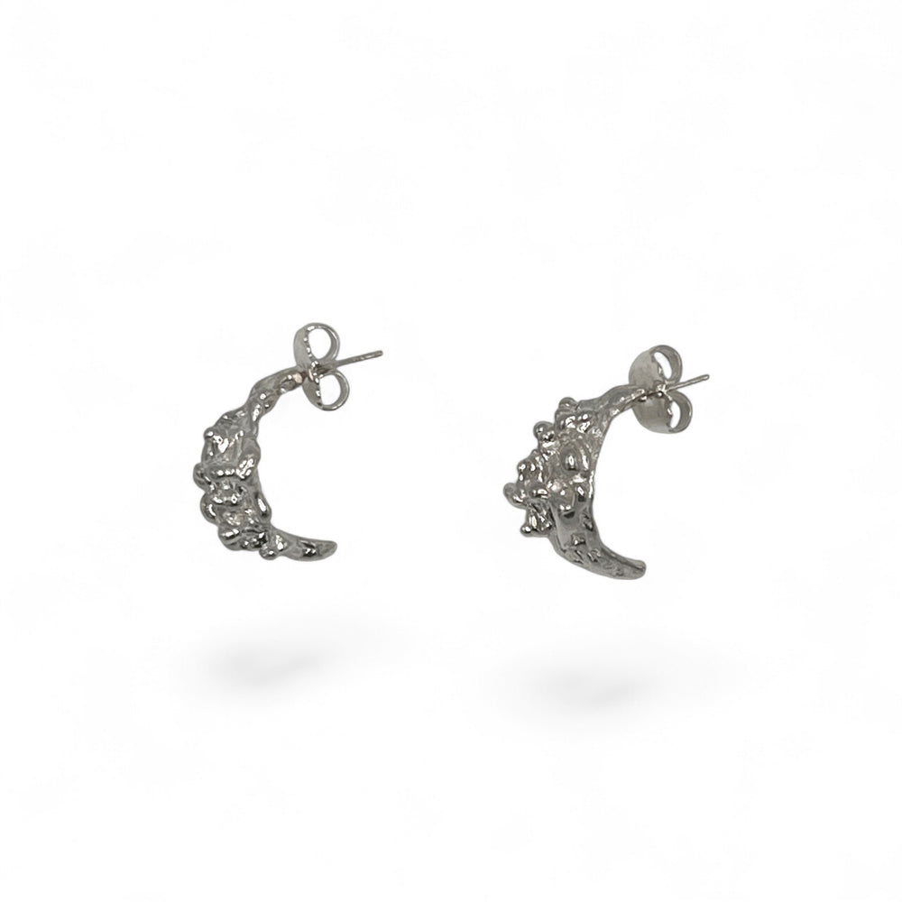Raymond Silver Earrings - Coralina