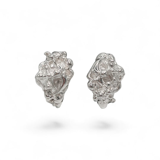 Raymond Silver Earrings - Coralina