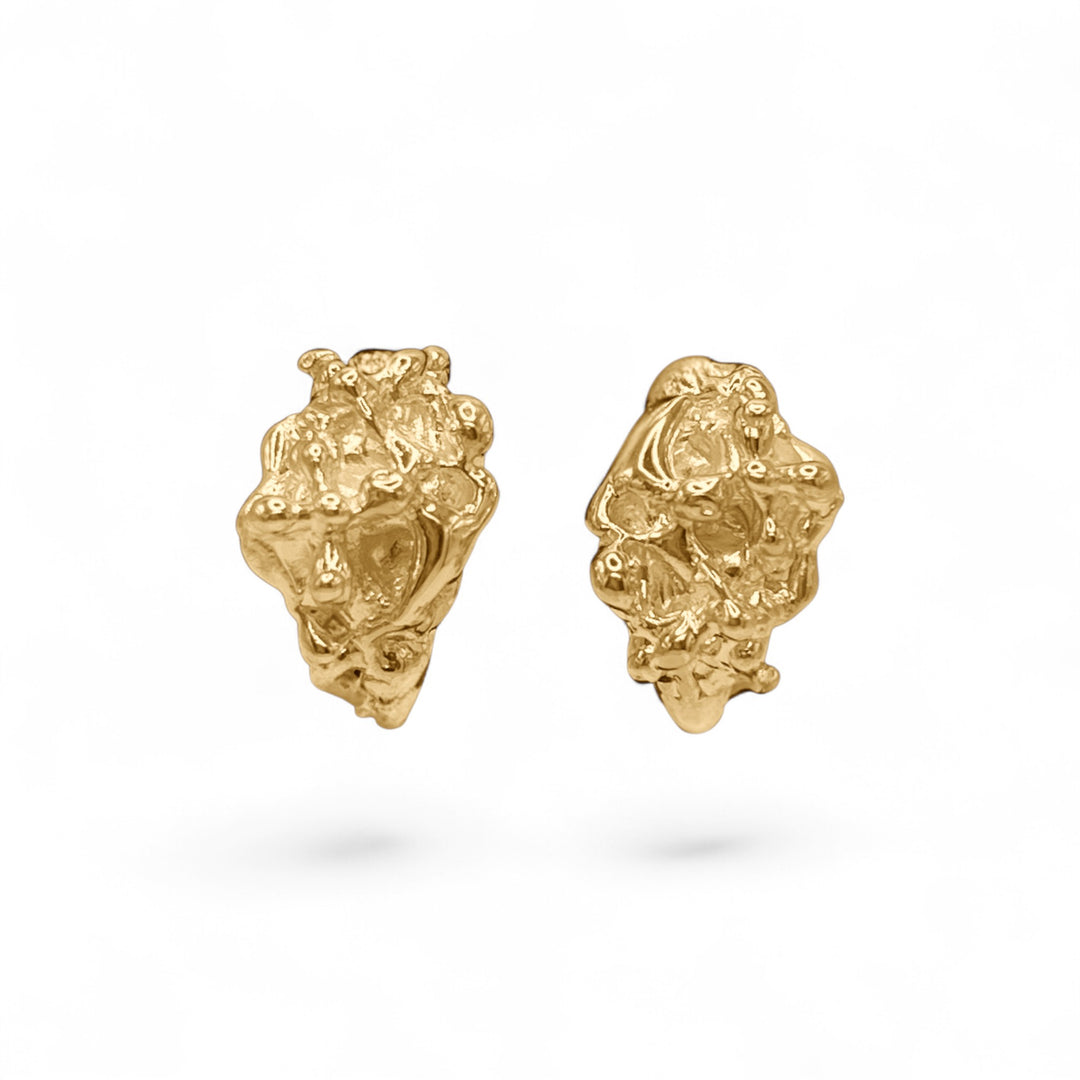 Raymond Gold Earrings - Coralina