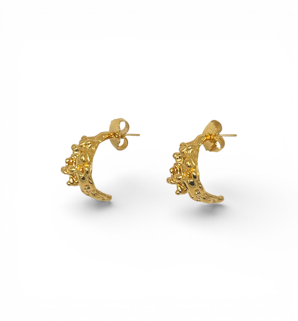 Raymond Gold Earrings - Coralina