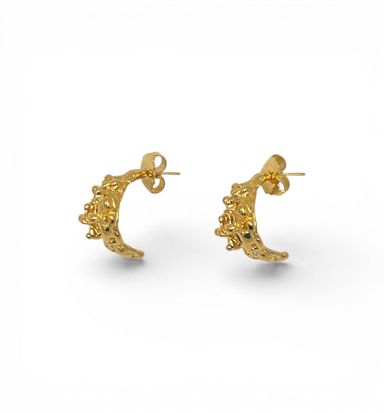 Raymond Gold Earrings - Coralina