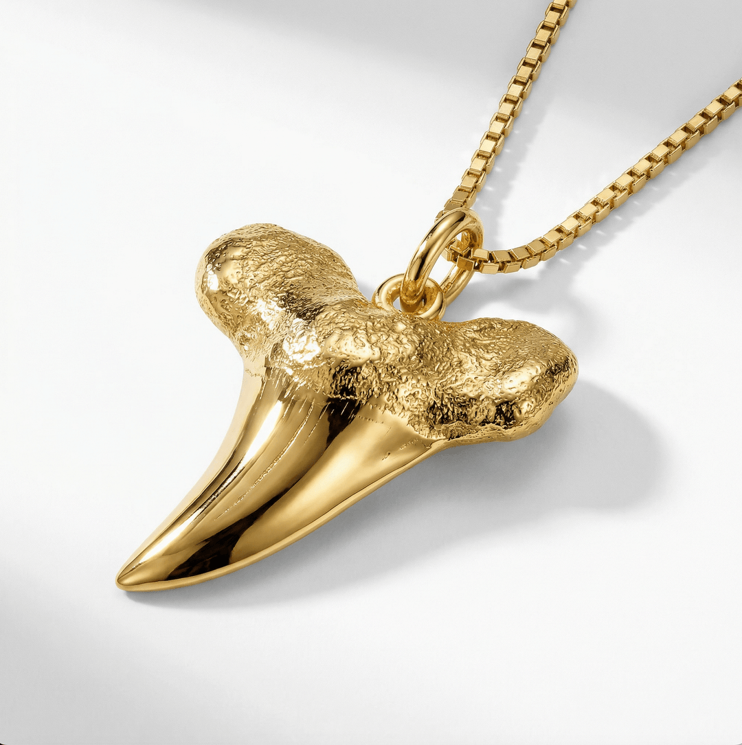 Gold Shark Tooth Pendant - Coralina