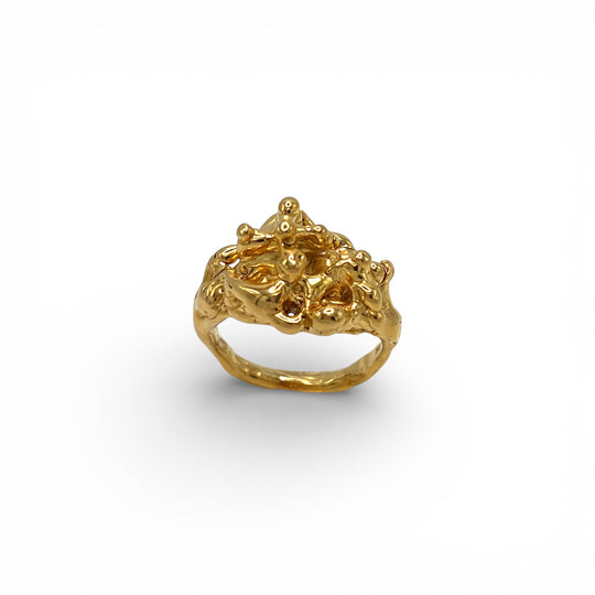 Raymond Gold Ring - Coralina