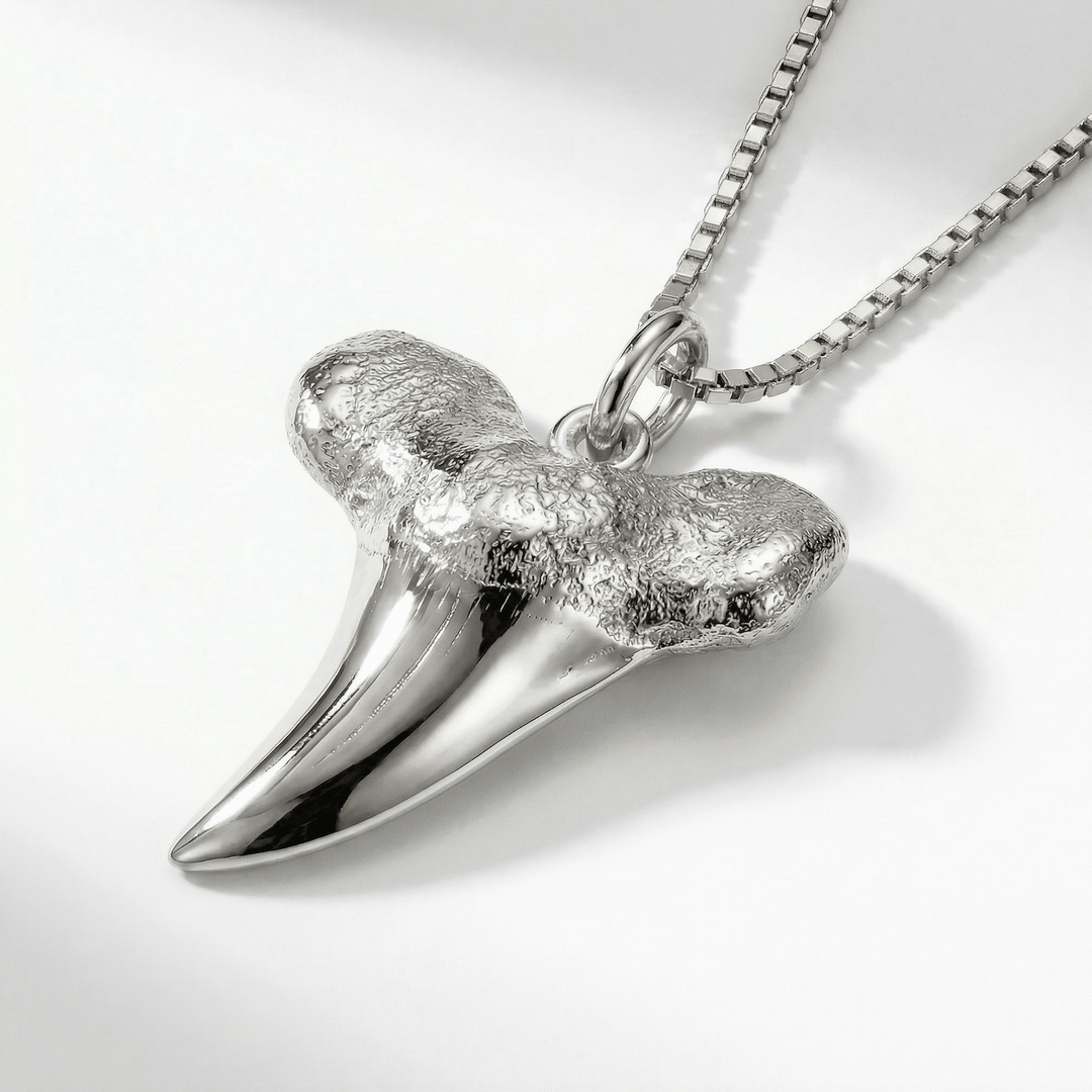 Silver Shark Tooth Pendant - Coralina