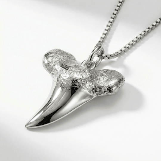 Silver Shark Tooth Pendant - Coralina